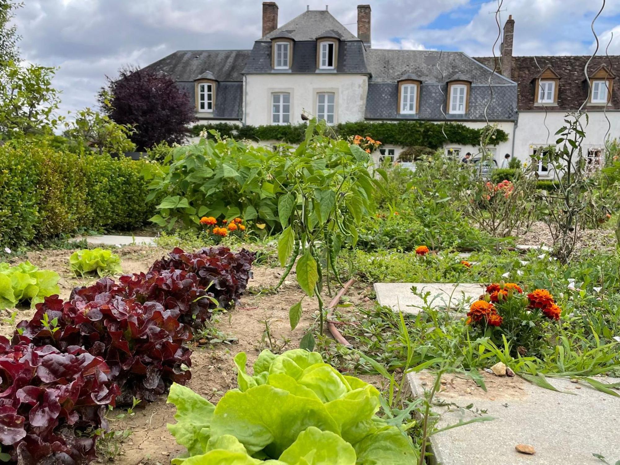 **Suite Familiale Spacieuse Au Coeur De La Foret De Montargis** - Fr-1-590-335 Paucourt Eksteriør bilde